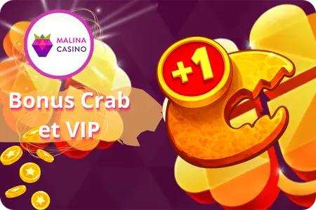 Programme VIP et Bonus Crab au casino